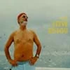 steve zissou