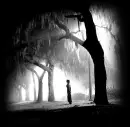 shadow