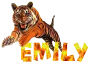 Emily - Tiger