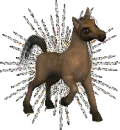 horse