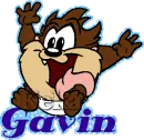 Gavin