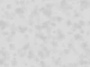 Fondo Gris