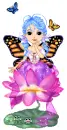 Buterfly price