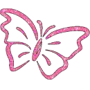 fly