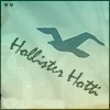 hollister hotti