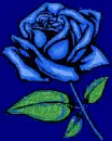 BULE ROSE
