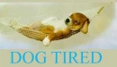 puppy on hammock