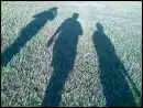 shadow