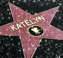 katelyn hollywood star