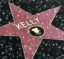 kelly hollywood star