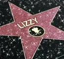 lizzy hollywood star