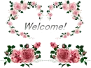 Misc