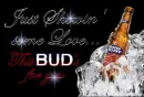 Bud Light-Showin Some Love