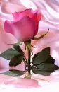 Pink Glitter Rose