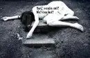 dead girl