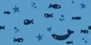Whales and Stars