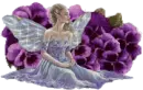 purple roses