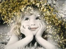 yellow flowers
