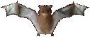 Freaky Bat