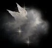 Angel wings
