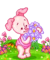 piglet