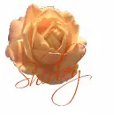 shirley