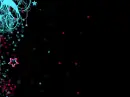 Stars Background