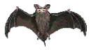 flying bat