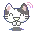 catty cat