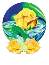 yellow Rose