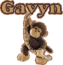 Gavyn