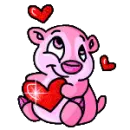cute bear