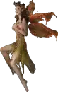 fairy