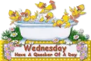 Wednesday Have A quacker of A day