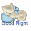 good night