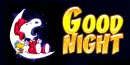 good night