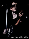 Lou Reed HEY BABY