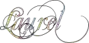 Laurel