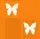 orange butterflies