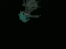 falling ichigo