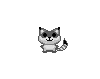 little racoon