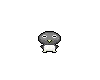 little penguin