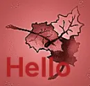 Hello