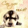 Can you resist?