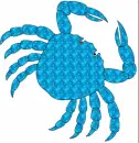 Super Star Crab