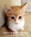 Sweet Kitty....Kinda