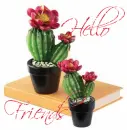 hello friends