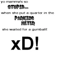 yo mamma so stupid...