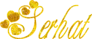 Serhat-Gold Name