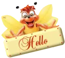 Hello
